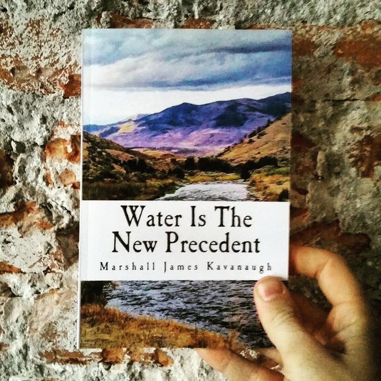 Image of Water Is The New Precedent, essay collection (2017)