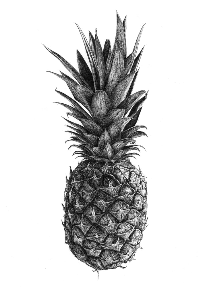 Image of Pineapple