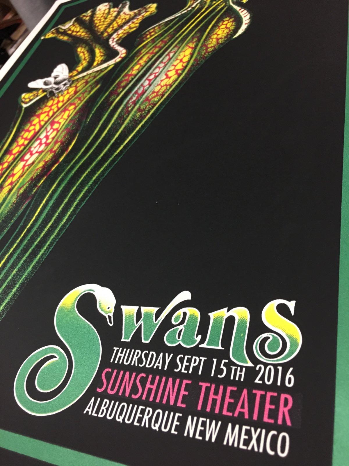 Image of Swans - 9/15/16 - Sunshine Theater - ABQ