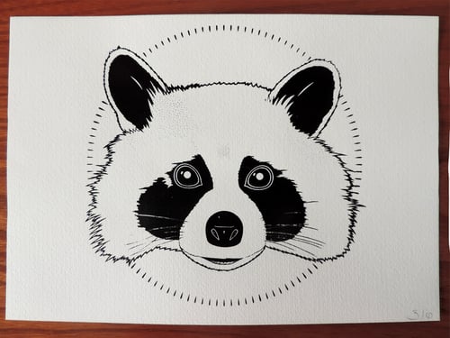 Image of Racoon