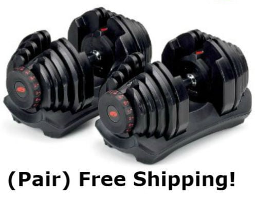 Image of Pair of Bowflex 1090 Adjustable Dumbbells, Free Shipping!