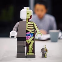 Image 3 of BIGGER MICRO ANATOMIC BY JASON FREENY - Last One