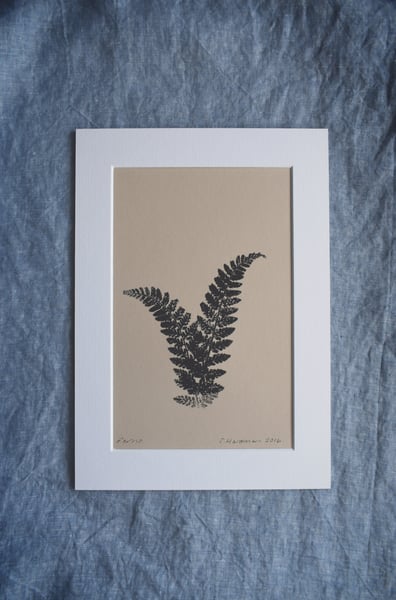 Image of Original mono print: Ferns
