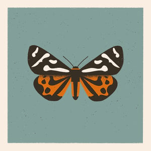 Image of Moth #2 (parasemia plantaginis)