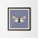 Image of Moth #3 (ocnogyna zoraida)