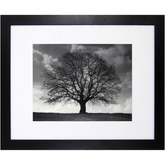 Image of Printed and Framed Photographs