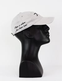 Image 3 of TRIPS CAP - STONE