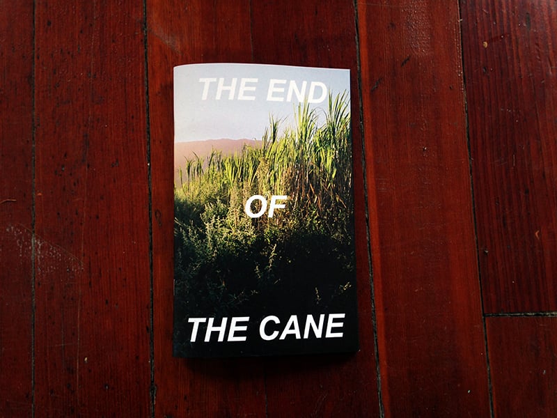Image of The End of the Cane