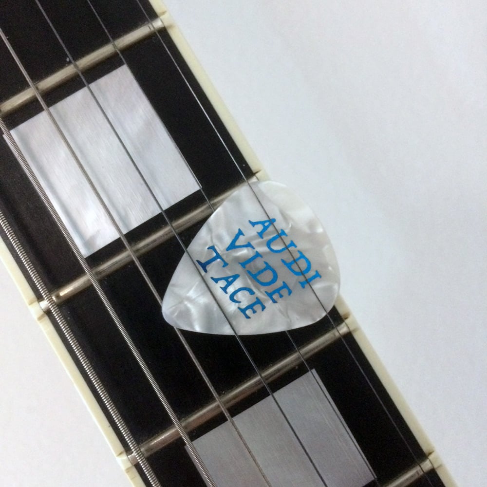 Image of Audi Vide Tace Guitar picks