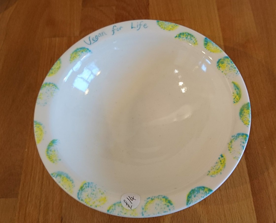 Image of Vegan message Porcelain bowl - 'Vegan for Life' plus 3 more options