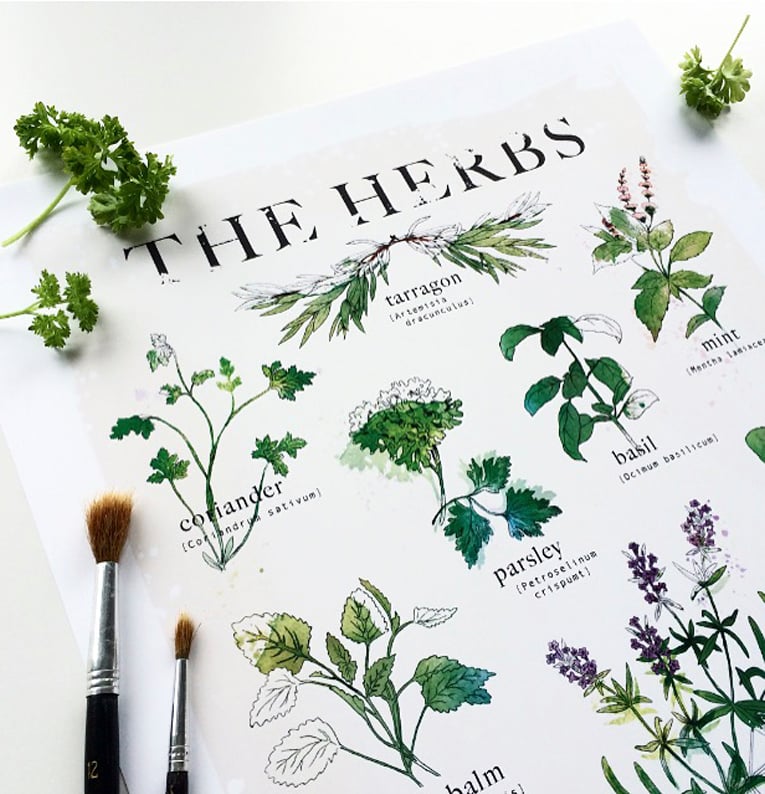 Image of "The Herbs"