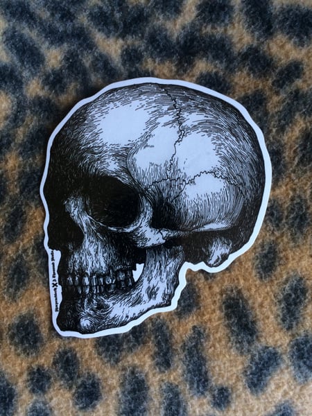 Image of A thousand skulls sticker by Sharpenedteeth
