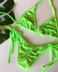 Basic triangle set Neon green lace over nude