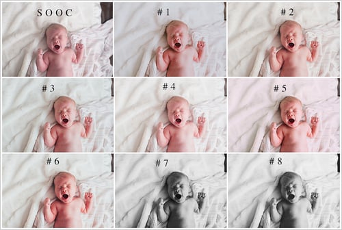 Image of The Lifestyle Set for LR