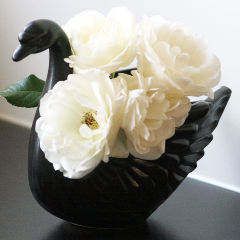 Image of Odette Swan Vase ~ Five Colours