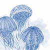Print: Jellyfishes