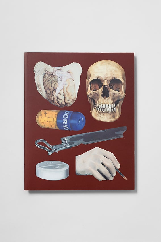 Image of Damien Hirst - The Elusive Truth : New Paintings