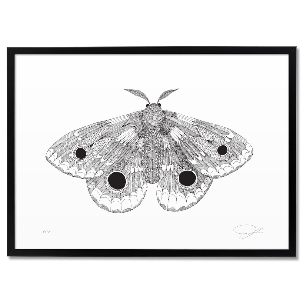 Print: Moth