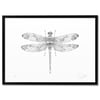Print: Flowery Dragonfly