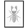 Print: Flowery Beetle