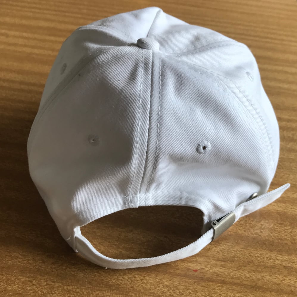 Image of Mosquito cap