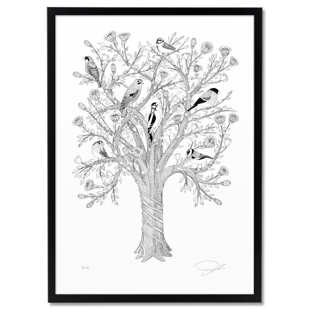 Large Print: 7 Birds