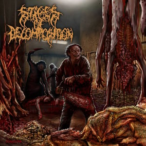 Image of Stages of Decomposition - Piles of Rotting Flesh CD