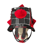 Image 1 of spiked lady bug