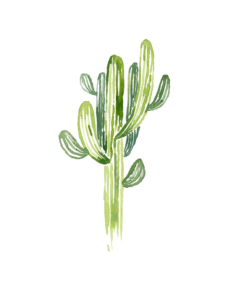 Image of Saguaro
