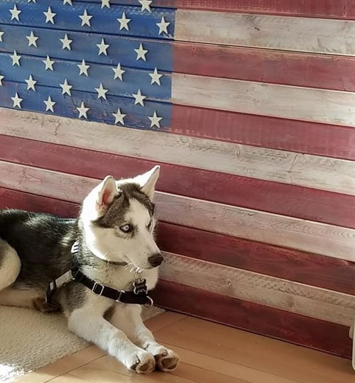 Image of Large Red, White & Blue American Flag