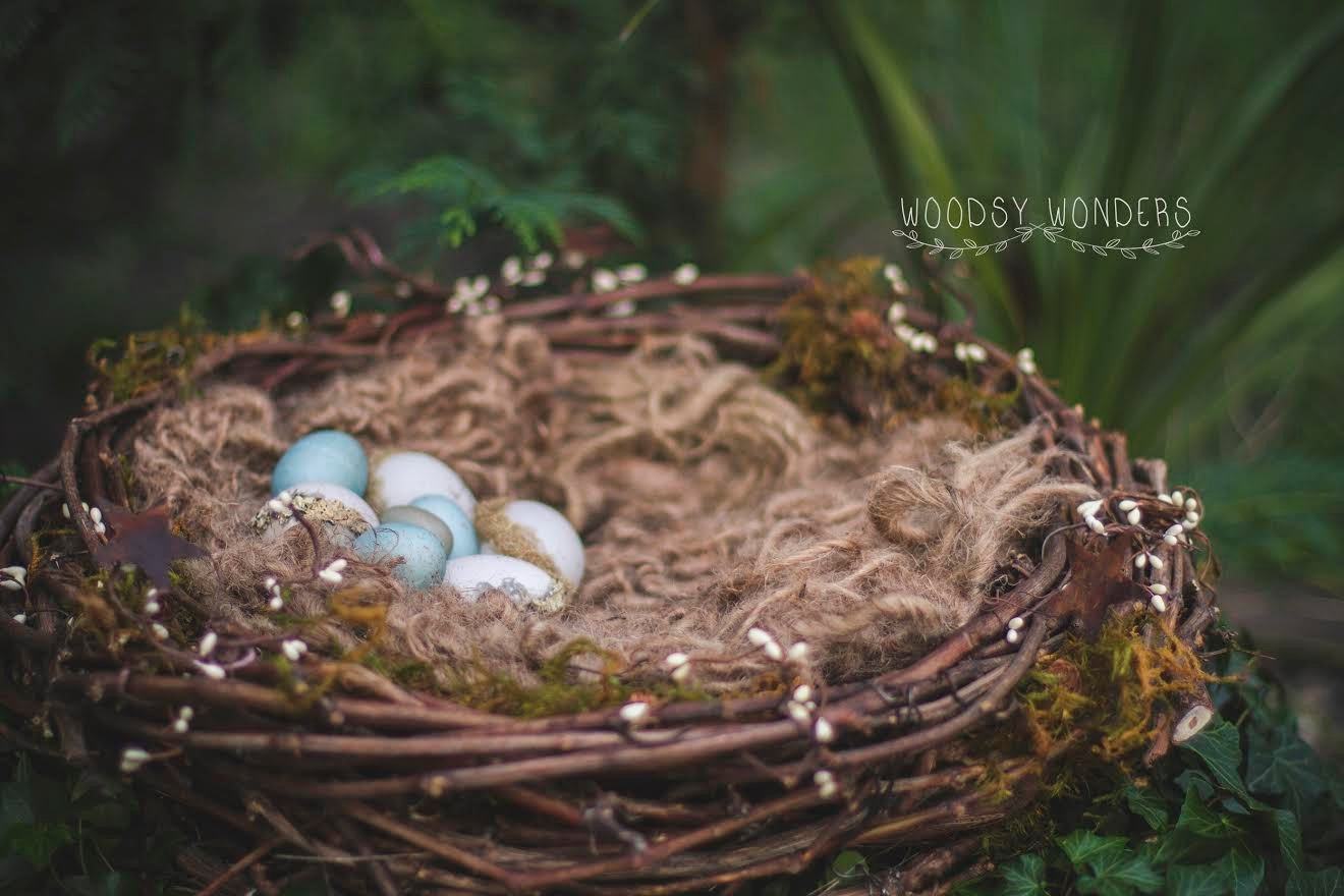 baby in nest