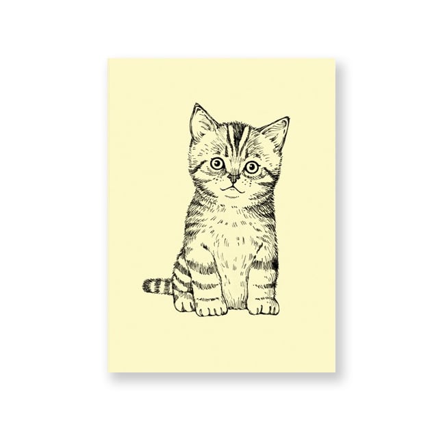 Image of Carte postale Chaton