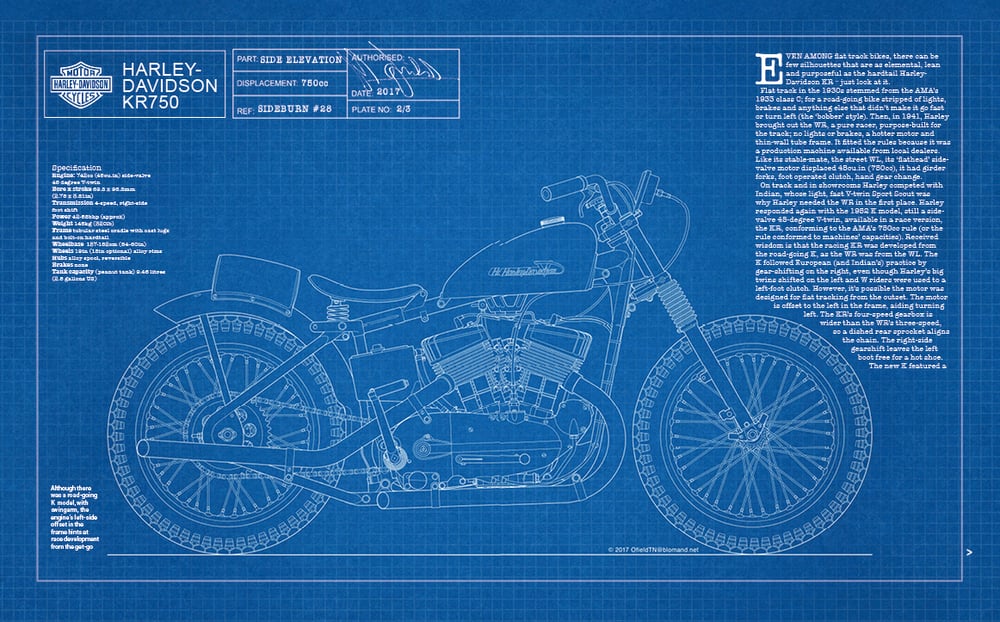 Image of Sideburn 28