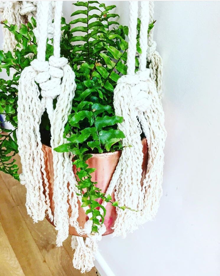 Image of Plant hanger