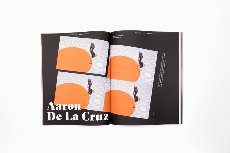 GRØSS VOL. 1: The Introduction Image 3