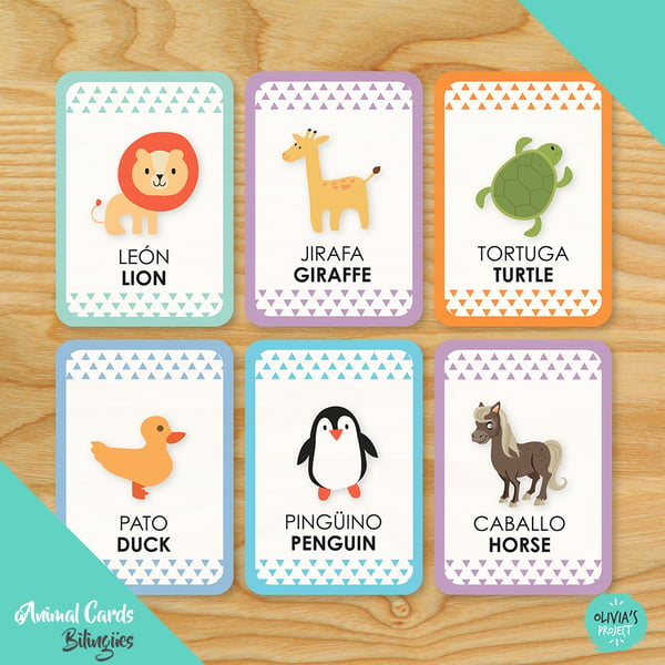 Image of Animals Cards  Bilingües