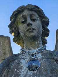 Image 1 of Spiked - Arachne Chain - preserved web 