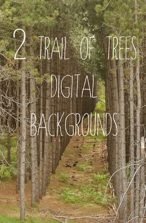 Image of Trail of Trees Digital Backgrounds