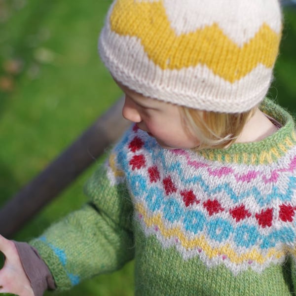 Image of The Pevensie Jumper