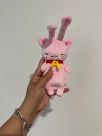 Image 1 of Pink Aisha