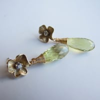 Image 4 of Bodacious Buttercups