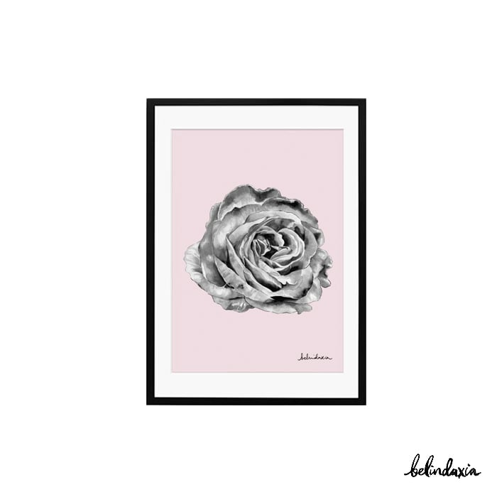 Image of A Rose