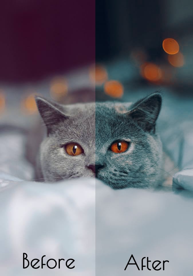 Image of Teal Orange -  25 Camera Raw ACR Presets for $9