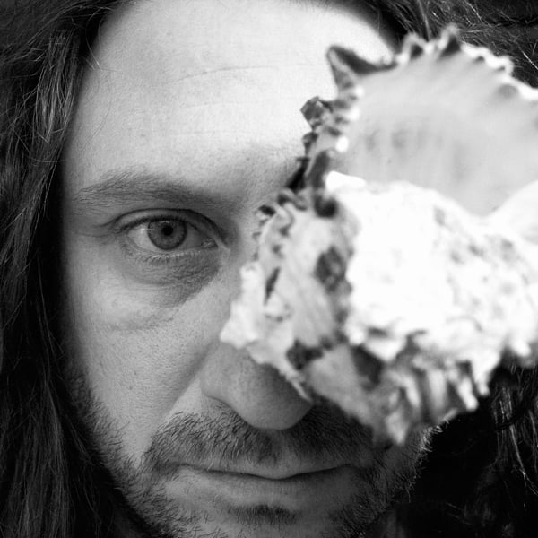 Trapcoustic: Shell LP