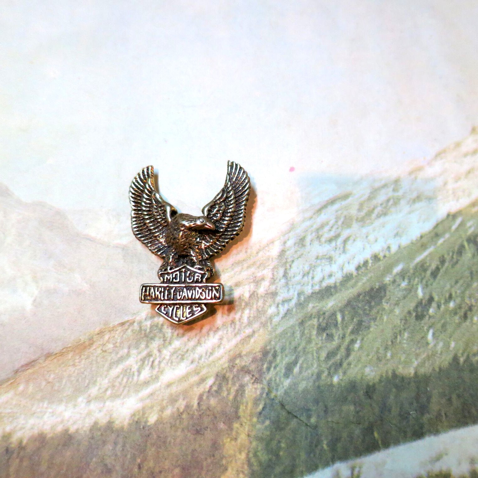 Details about   HARLEY DAVIDSON PIN WITH EAGLE WINGS SOLID BRASS 