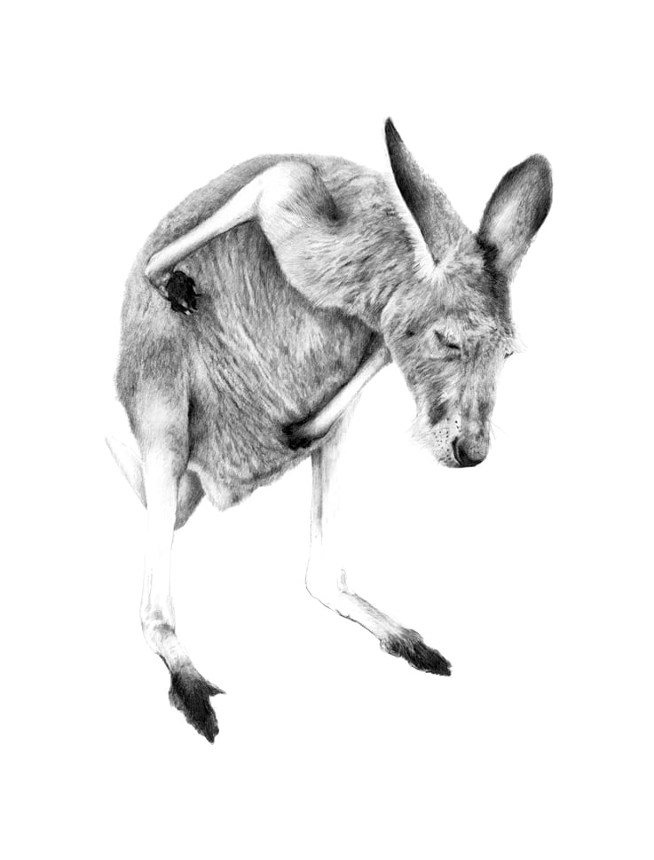 Image of 'GREY 2' Limited Edition Print