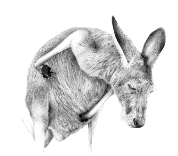 Image of 'GREY 2' Limited Edition Print