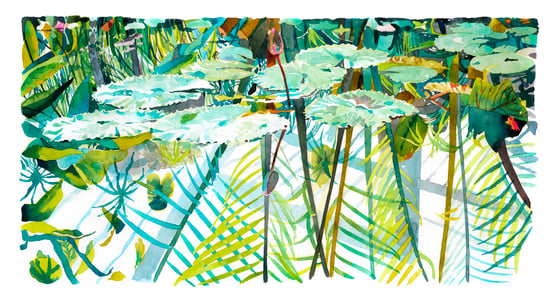 Image of The Lily Pond, Kew