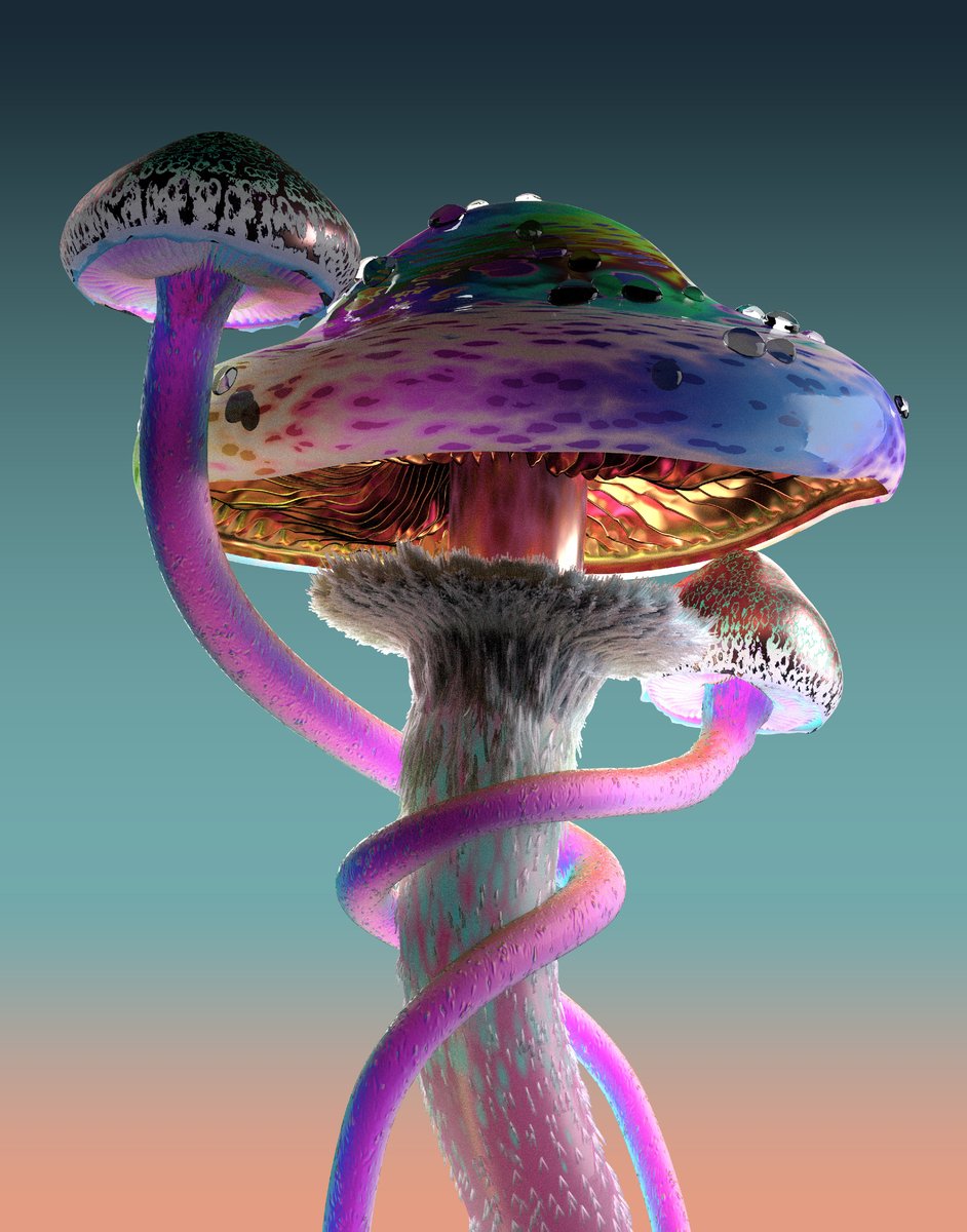 Необычные красивые грибы