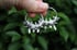 Dead good fox teeth hoop earrings Image 2